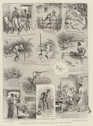 Sport in Ceylon, der erste Schnepfen der Saison